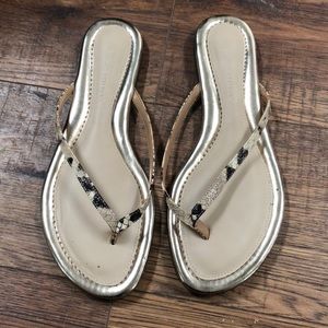 BRAND NEW Banana Republic Malibu flip flops